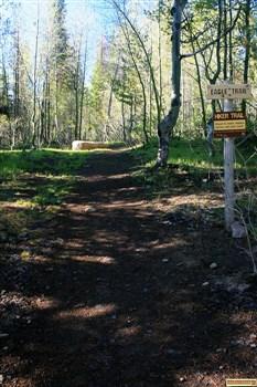 Pettit Campground's Eagle Trail
