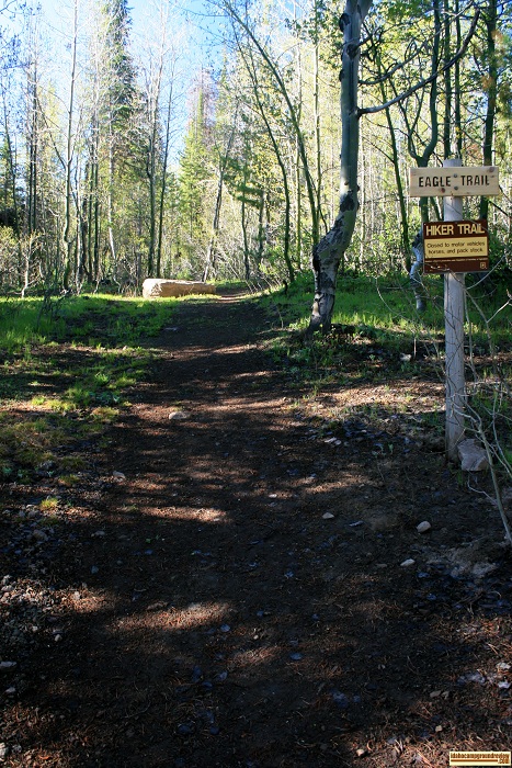 Pettit Campground's Eagle Trail