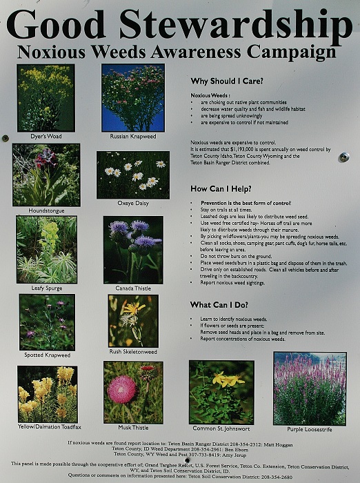 Pine Creek Campground