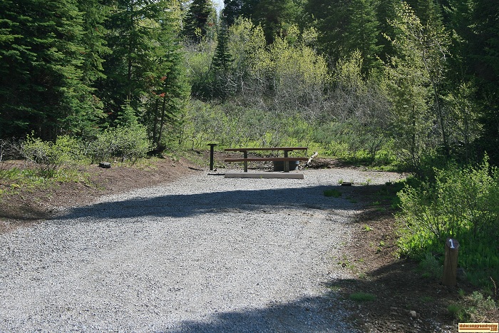 Campsite 1D in Loop "D" of Porcupine Springs Campground.