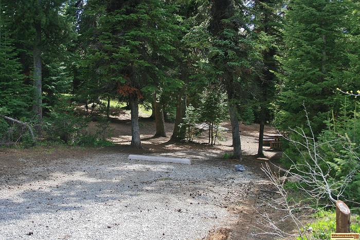Campsite 5D in Loop "D" of Porcupine Springs Campground.