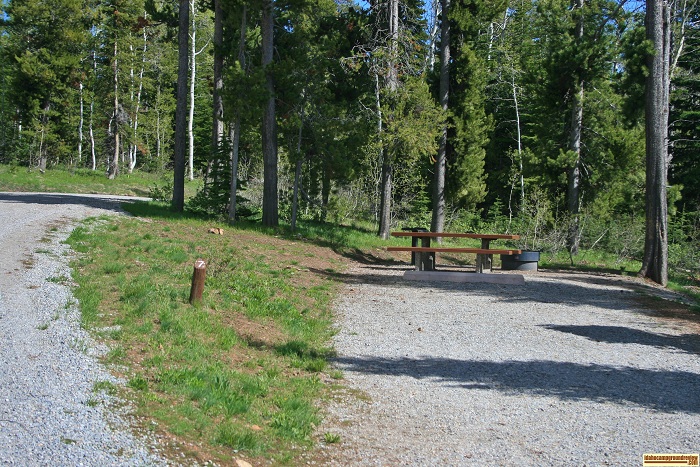 Campsite 7D in Loop "D" of Porcupine Springs Campground.