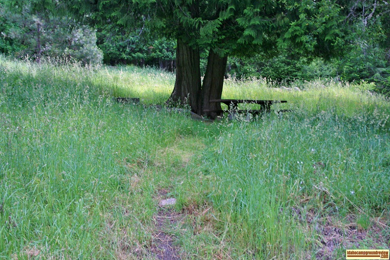 Race Creek Campground camp site.