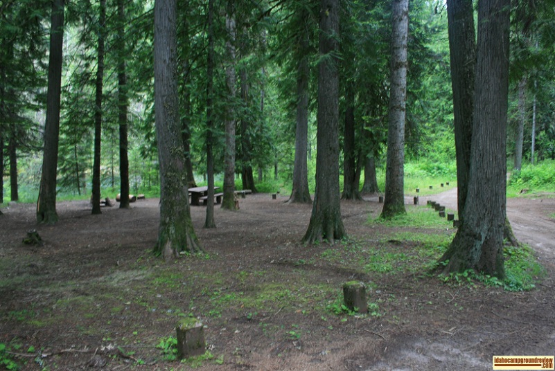 another camp site in Rackliff Campground on the Selway River