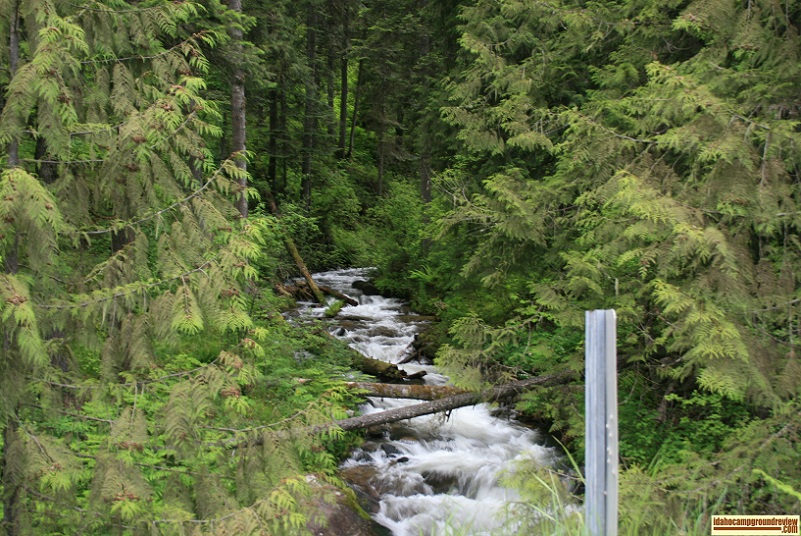 Rackliff Creek slpits Rackliff Campground in two.