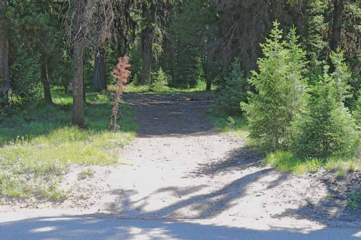 Camping at Riverside Campground at Deadwood Reservoir