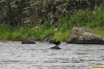 Riverside Campground on Henry's Fork.