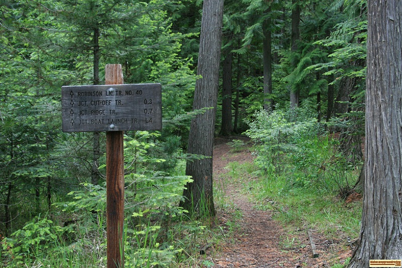 Robinson Lake Campground