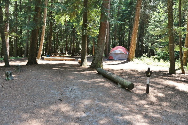 Campsites at Round Lake State Park