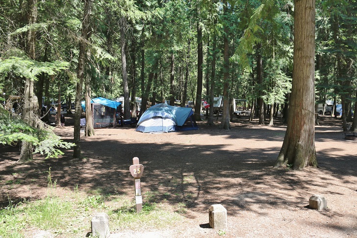 Campsites at Round Lake State Park