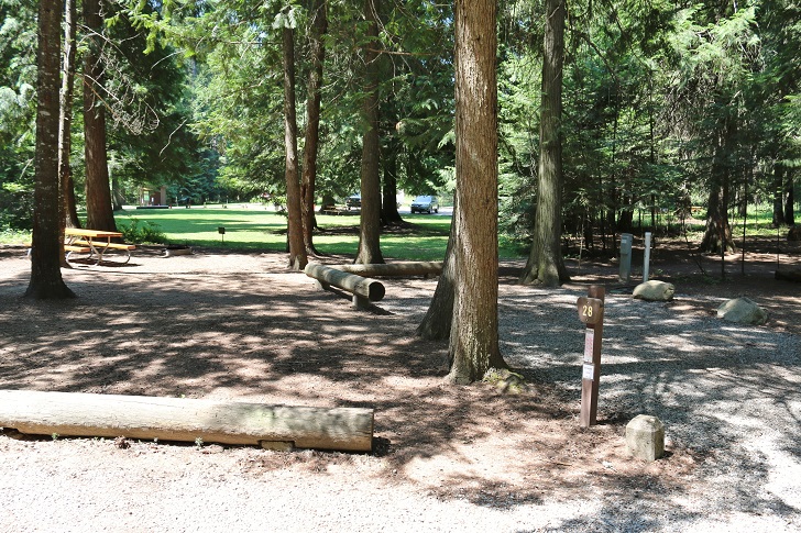 Campsites at Round Lake State Park