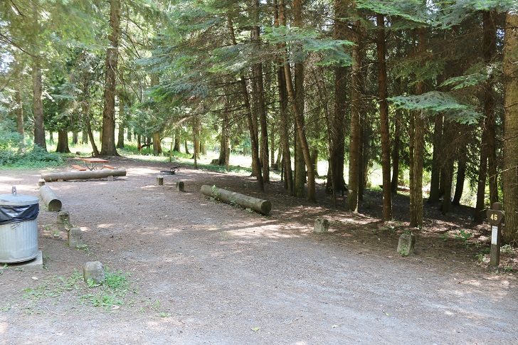 Campsites at Round Lake State Park