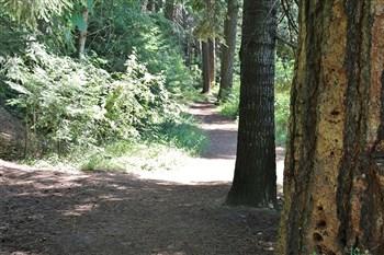 Recreational opportunnities at Round Lake State Park.