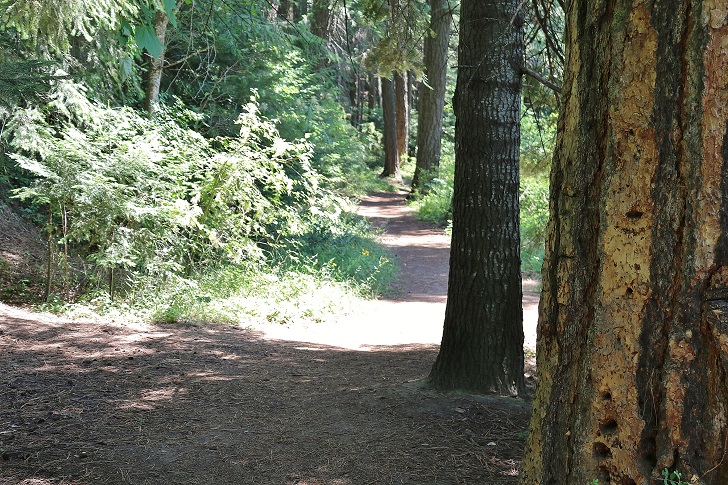 Recreational opportunnities at Round Lake State Park.