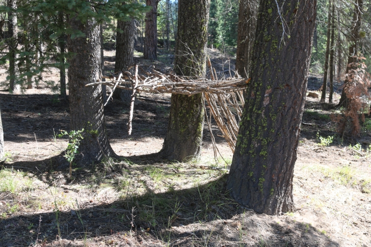 Camping in Sagehen Creek Campground at Sagehen reservoir.