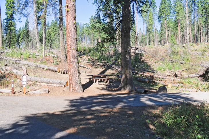 Camping in Sagehen Creek Campground at Sagehen reservoir.