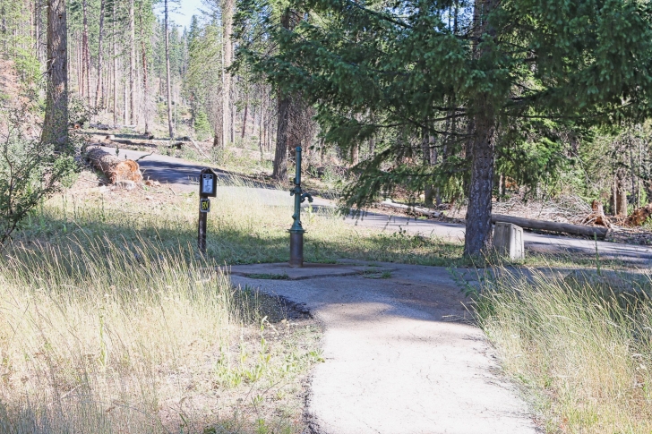 Camping in Sagehen Creek Campground at Sagehen reservoir.