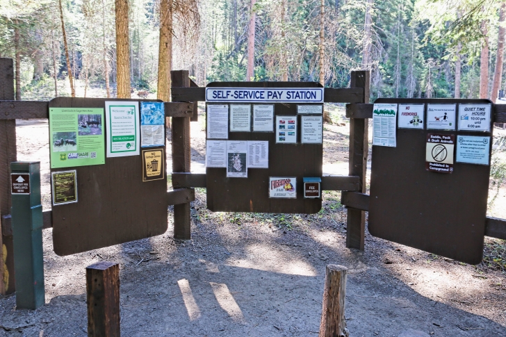 Camping in Sagehen Creek Campground at Sagehen reservoir.