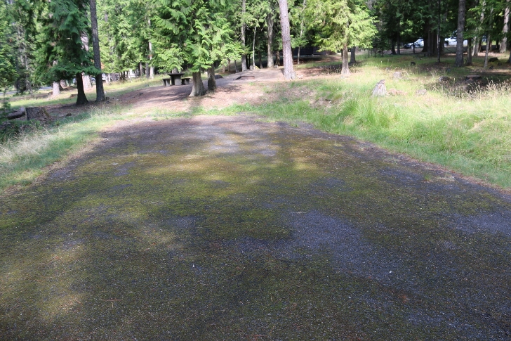 Campsite 61 in Scented Leaf Loop.