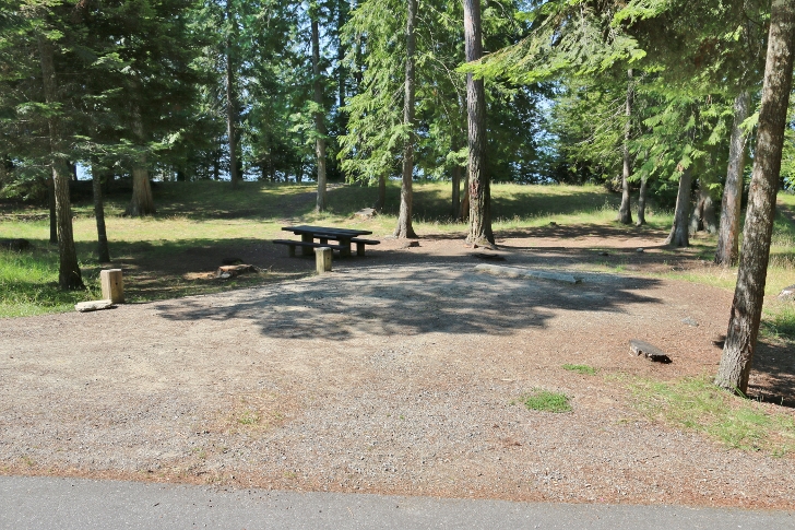 Campsite 39 in Skipping Stone Loop.