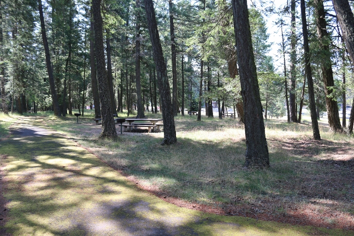 This is only a small part of the picnic area.