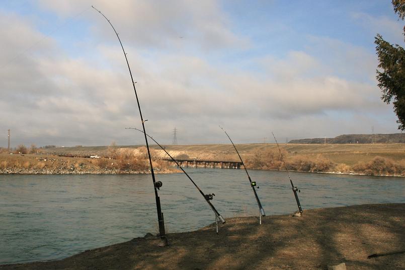 Four fishing poles with thier lines in the water at Scout Park Campground