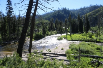 Information about the South Fork Salmon River Campground.