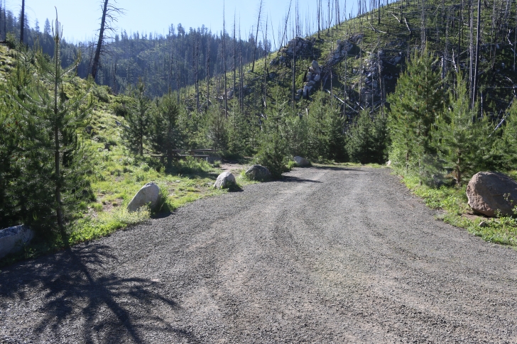 Information about the South Fork Salmon River Campground.