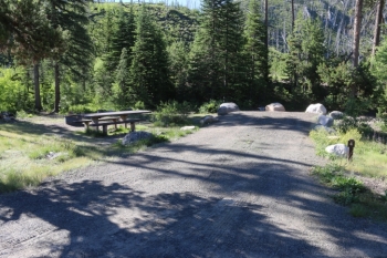 Information about the South Fork Salmon River Campground.