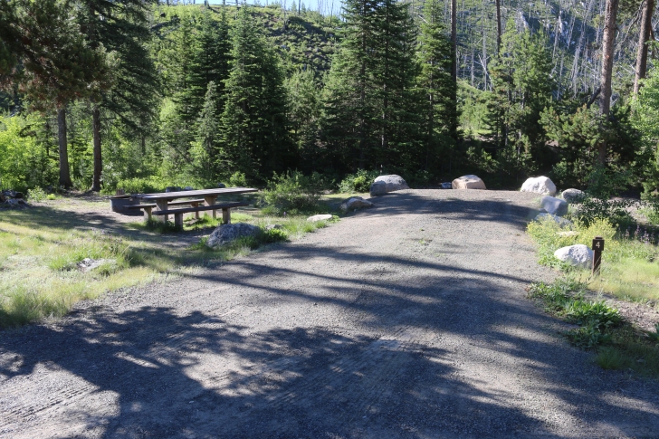 Information about the South Fork Salmon River Campground.