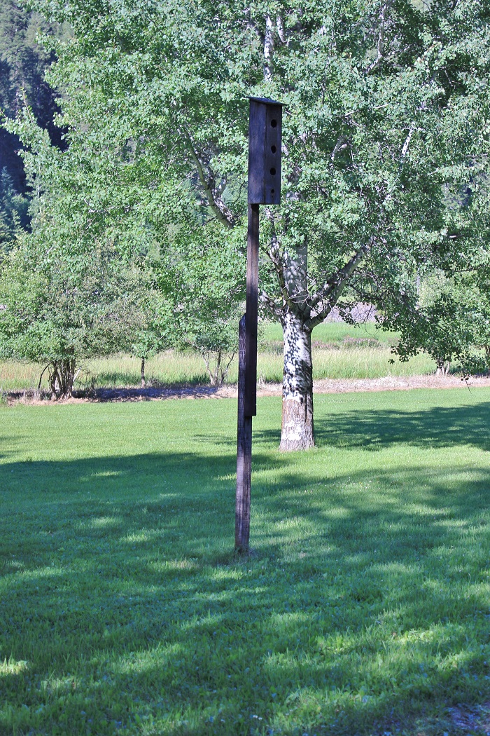Shadowy St Joe Campground