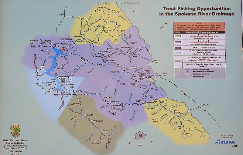 Shadowy St Joe Campground