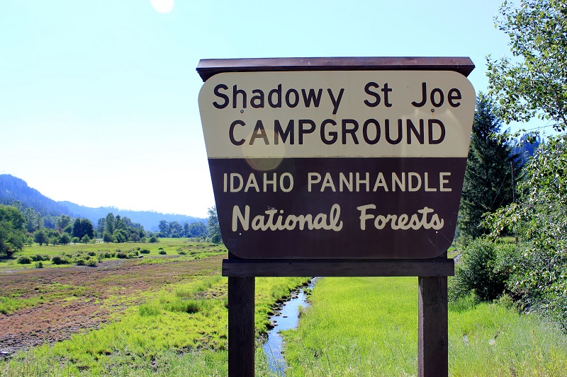 Shadowy St Joe Campground