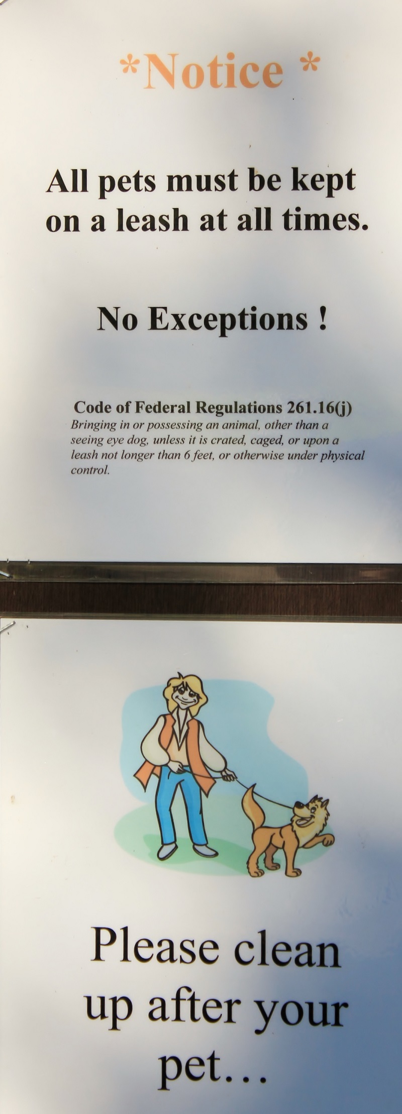 Shadowy St Joe Campground