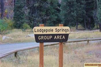 Lodgepole Springs Group Area