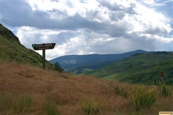 Wild Flowers in slate creek recreation site