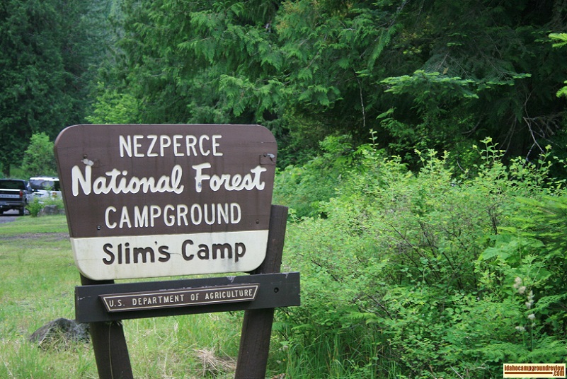 Slim's Camp on Meadow Creek just a mile and a half from the Selway River