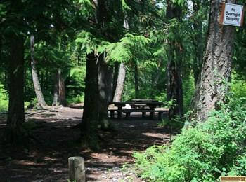 Smith Lake Campground