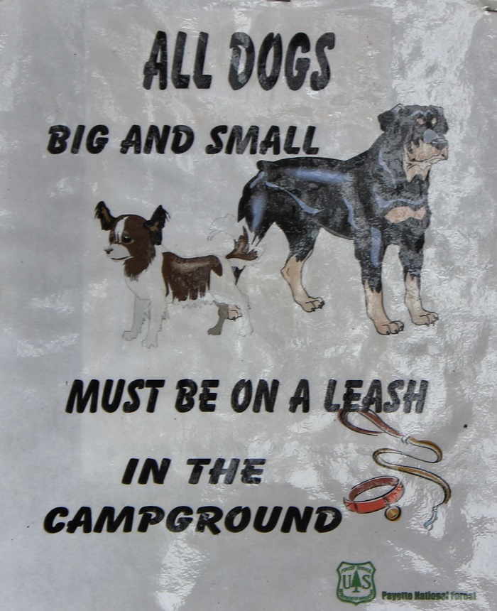 Spring Creek Campground