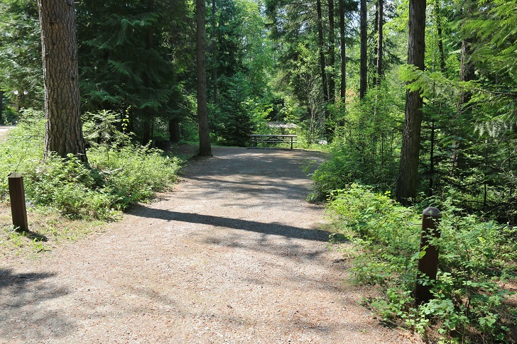 Springy Point Recreation Area - Campsites