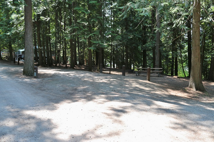 Springy Point Recreation Area - Campsites