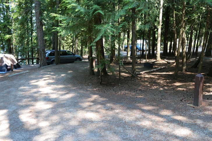Springy Point Recreation Area - Campsites