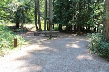 Springy Point Recreation Area - Campsites