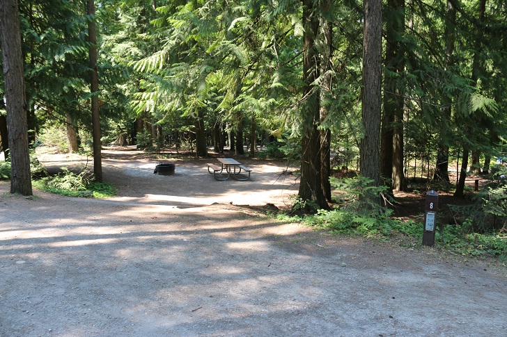 Springy Point Recreation Area - Campsites