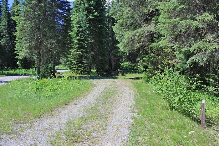 Spruce Tree Campground on the upper St Joe River