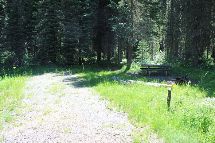 Spruce Tree Campground on the upper St Joe River