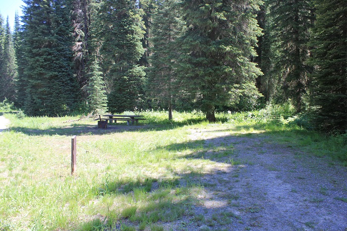 Spruce Tree Campground on the upper St Joe River
