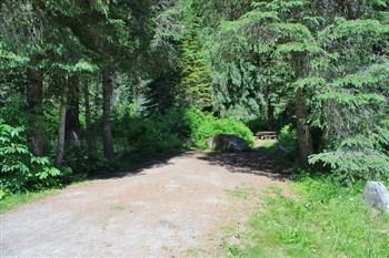 Spruce Tree Campground on the upper St Joe River