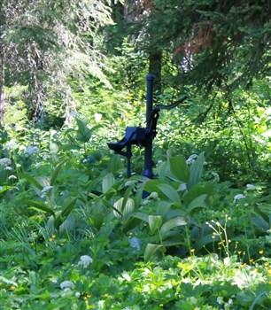 Spruce Tree Campground on the upper St Joe River