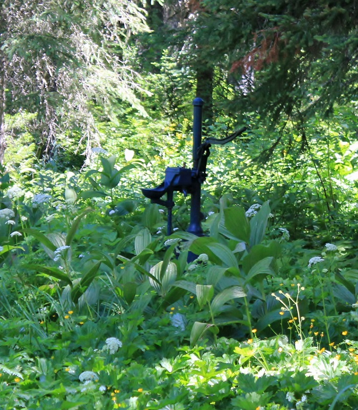 Spruce Tree Campground on the upper St Joe River